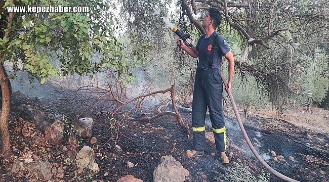 Serik'te Orman Yangınına Müdahale