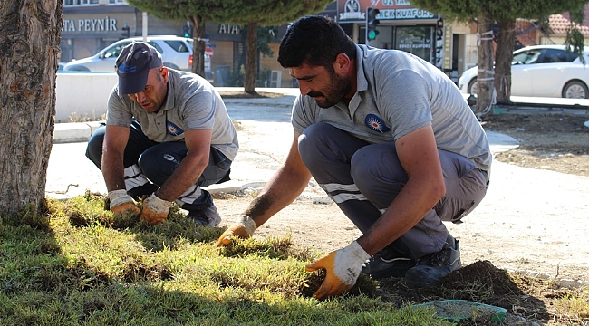 Antalya'da Park ve Yeşil Alanlara Bakım