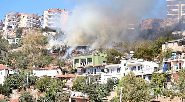  Antalya'da Ağıldaki Yangında 50 Hayvan Yanarak Öldü